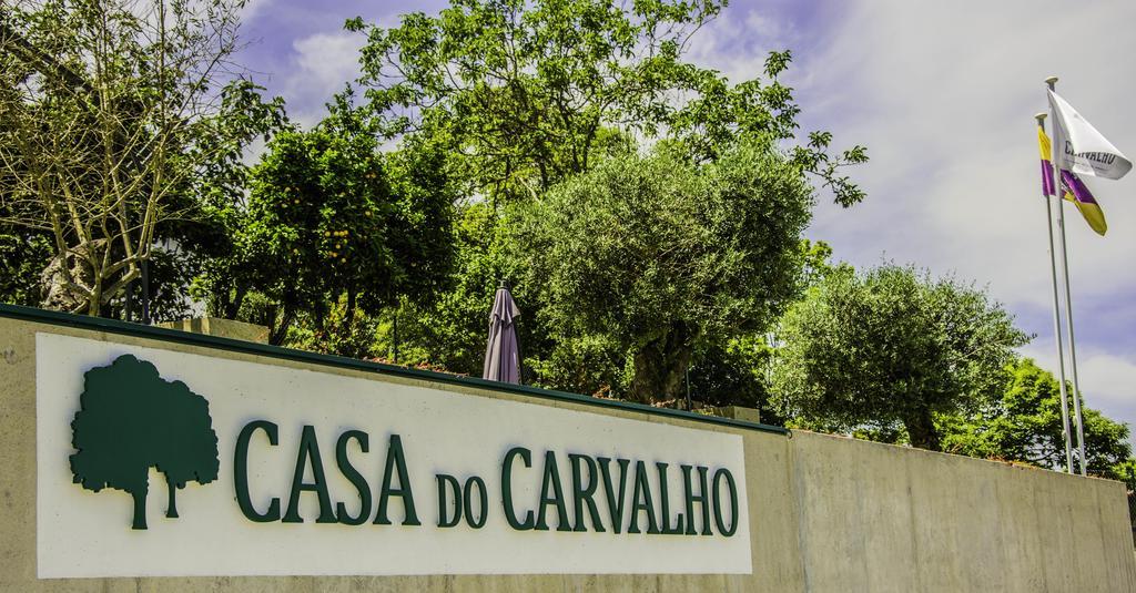Casa Do Carvalho - Ponte De Lima Leilighet Eksteriør bilde